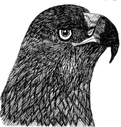 Eagle-ID-ForTheBirdzShop2018