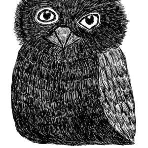 Owl-ID-ForTheBirdzShop2018