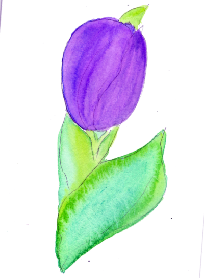 purpletulip-watercolor