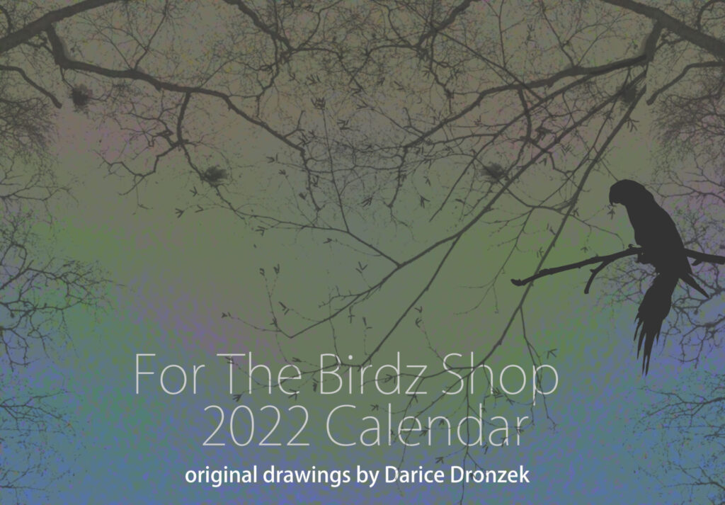 For the Birdz Shop 2022 Calendar original drawings by Darice Dronzek